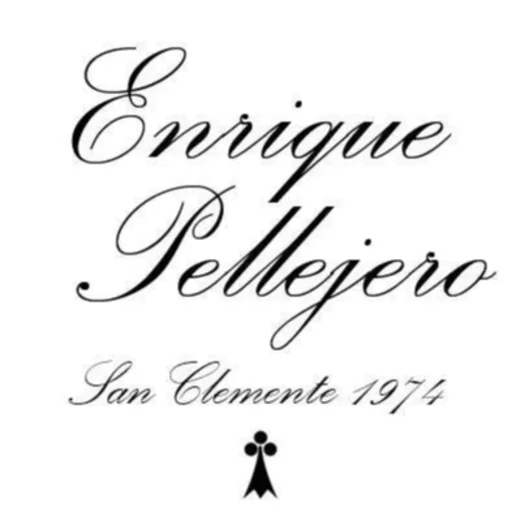 enriquepellejeromoda.com