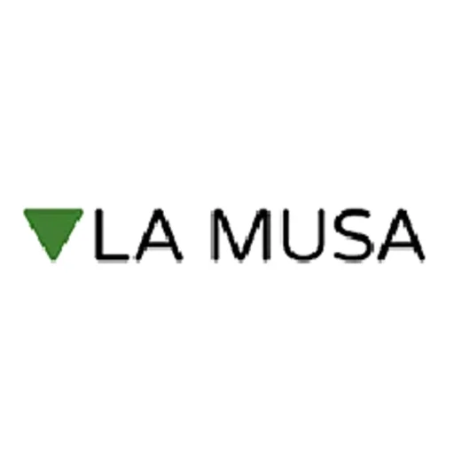 lamusainstrumentos.es