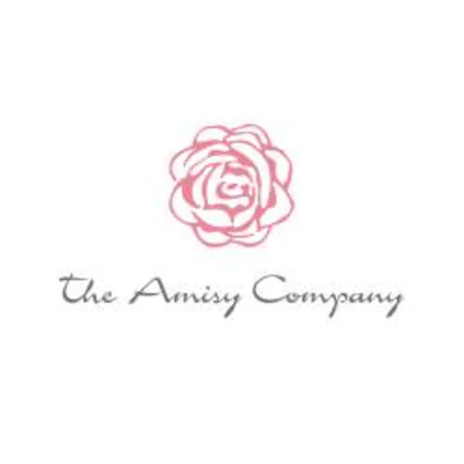 The Amisy Company